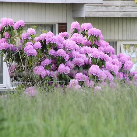 Slukefter & Høgelund