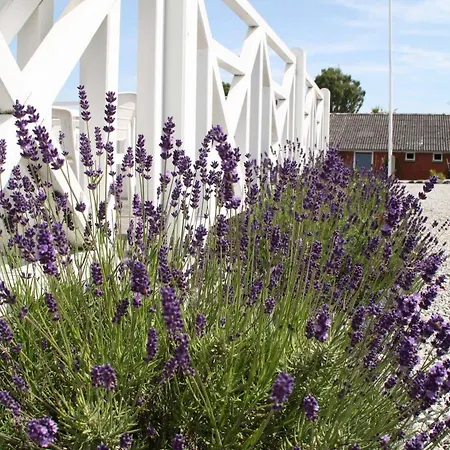 Slukefter & Høgelund